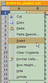 A row is inserted into an excel sheet