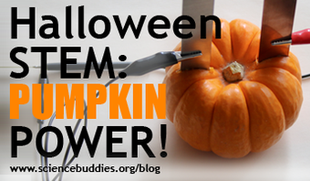 Halloween STEM / Pumpkin set up for veggie power experiment