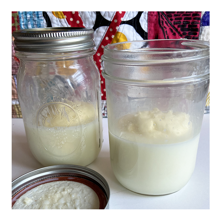 Two jars with homemade shaken butter and the leftover buttermilk - Awesome Summer Science Experiments