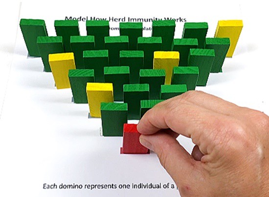 28 dominoes (23 green, 4 yellow, 1 red)) set up in a triangle formation. A red domino is at its tip.