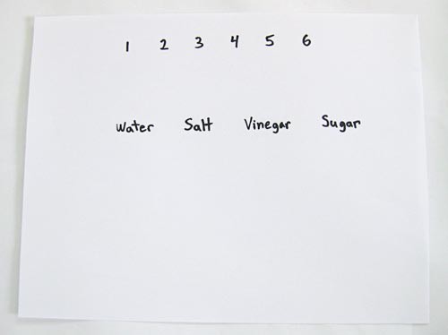 Numbers one through six are written on a piece of paper with the words water, salt, vinegar and sugar below it
