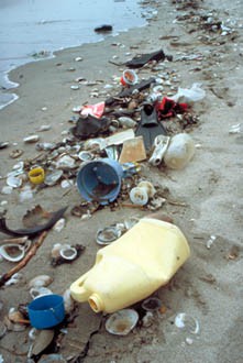 Trash and debris washed up on a beach shore