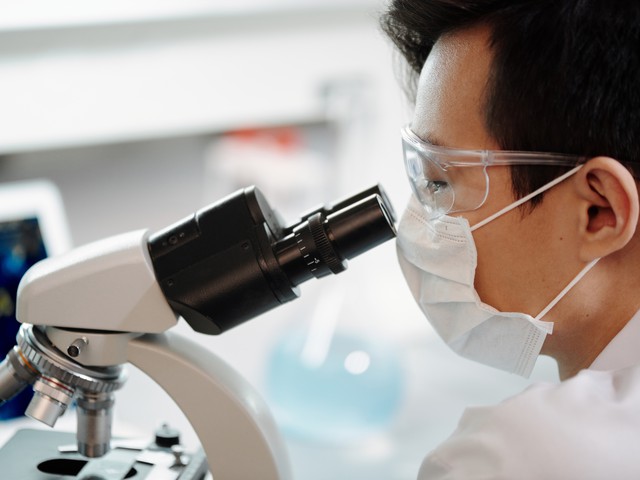 person looking in microscope