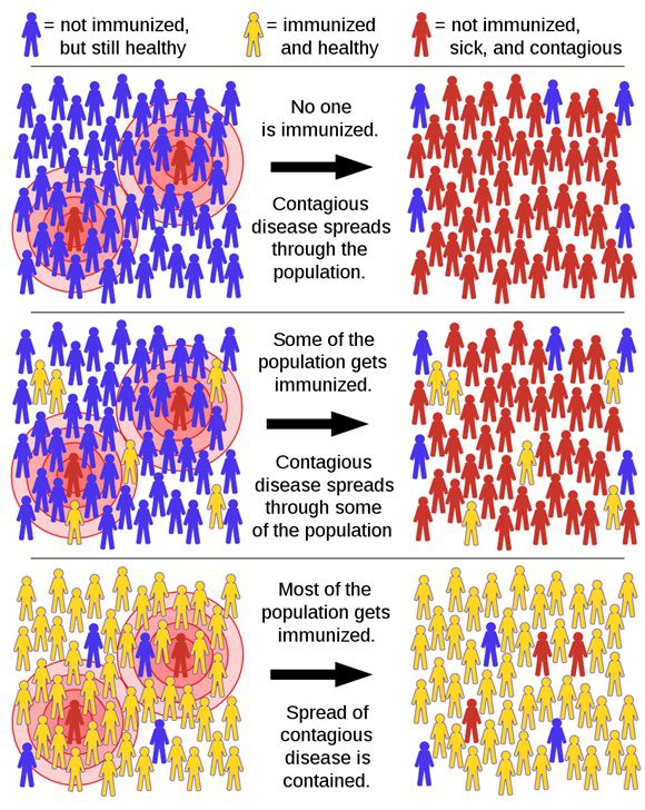 Schematic diagram depicting herd immunity