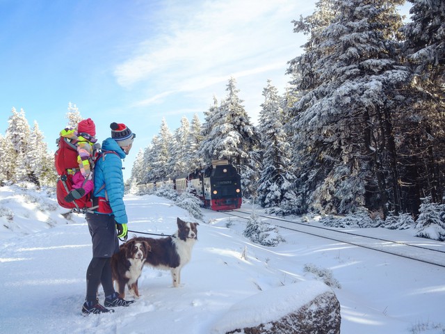 family with dog in the snow