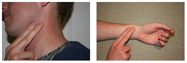 Two photos show two fingers pressed on the inside of a neck near the jaw line and on the inside of a wrist