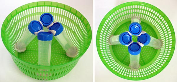 Four tubes are arrange in a salad spinners bowl equally spaced apart and putty connecting the caps of each over the center