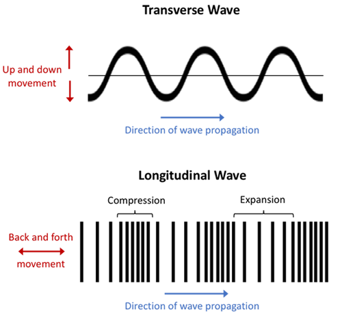 Drawing of a transverse wave above a longitudinal wave