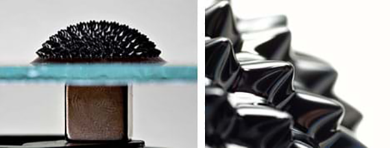 Fluid magnets and ferrofluids