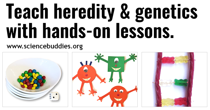 Images of candy DNA, bowl of candies and dice, and alien babies activity to represent collection of STEM lessons and activities to teach about genetics and heredity