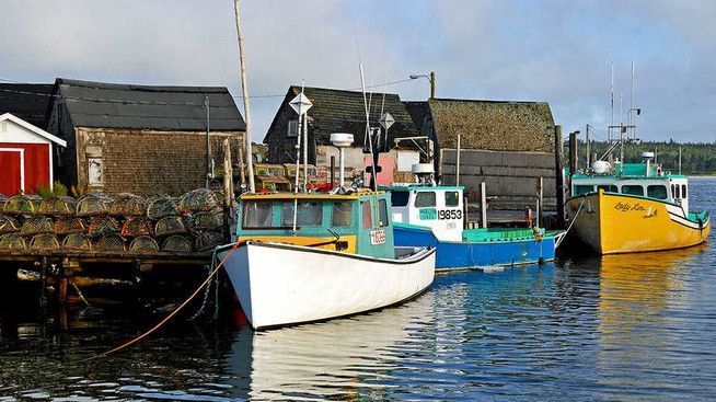 fishing boats with traps