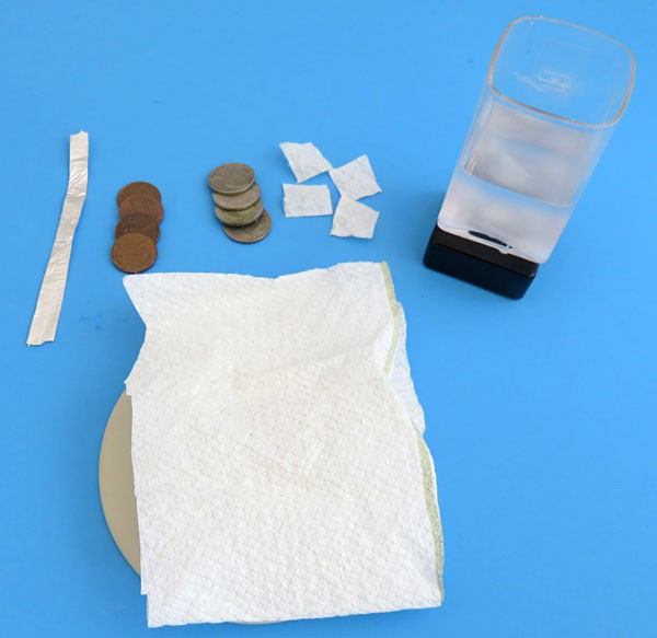 Strips of folded aluminum foil, small paper towel squares, pennies, nickels and a vinegar-salt solution