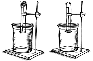 Drawing of two test tubes held upside-down in a beaker of water with a ring stand