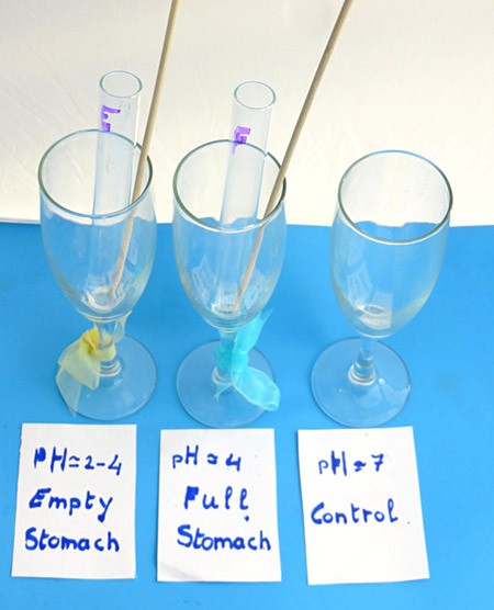 Three side-by-side champagne glasses, two glasses are filled with a test tube and wooden skewer