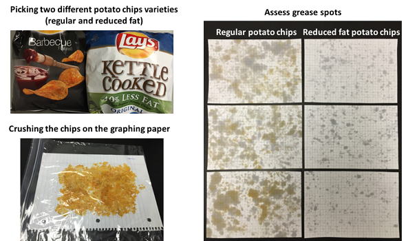 Pictures of two different kinds of potato chips (one reduced fat, and the other regular), crushed chips on graph paper, and blotches of grease on graph paper.