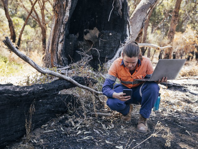 woman inspecting tree