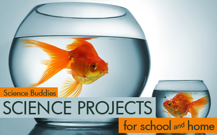 Weekly Science Project and Science Activity Spotlight