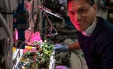 NASA: Let’s Ketchup on International Space Station Tomato Research