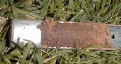 A soil probe shows soil that has a dry layer near the surface and moist soil beneath