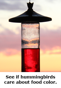 2014 Summer Science Guide: Hummingbird Science Project