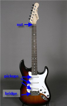 Photo of the front of an electric guitar