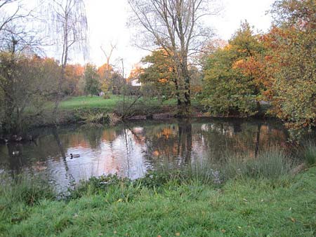A picture of a pond