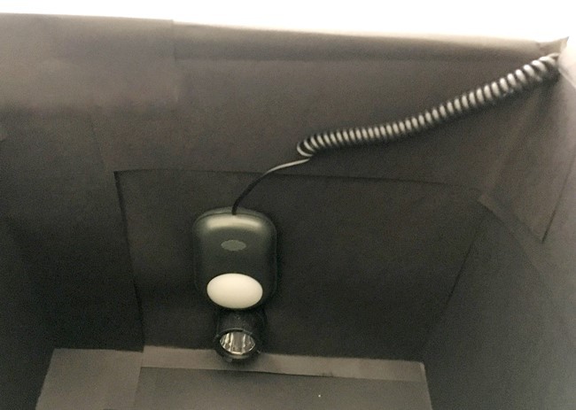 Inside side-wall of a box covered in black paper. The bulb end of a flashlight is in the bottom-center of the side wall and a lux meter sensor is attached just above the flashlight.