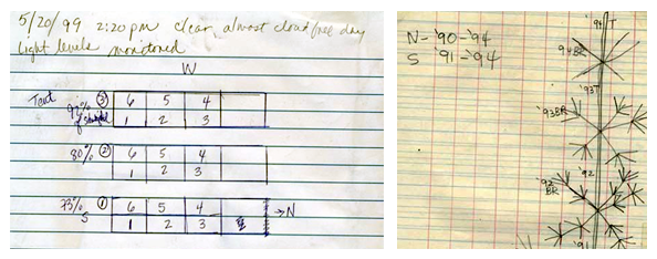 Annotated data tables and drawings written on two pages within a notebook