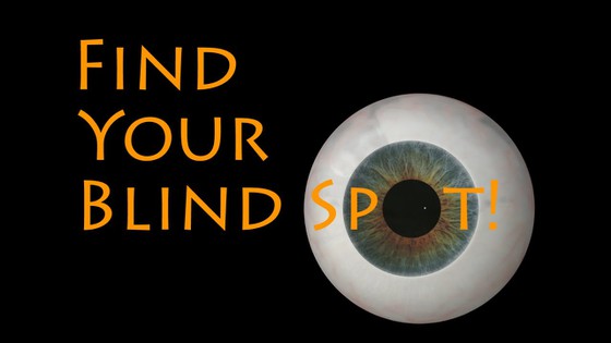 Find Your Blind Spot!