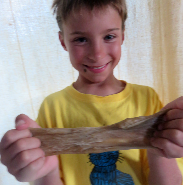 Stretchy Dough and the Science of Gluten / Weekly family STEM activity