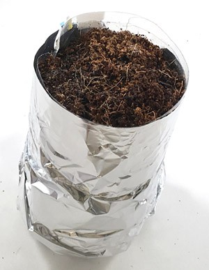 A homemade hydroponics container is wrapped in aluminum foil