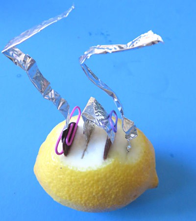 Two pennies stuck into a lemon are connected with aluminum foil and paperclips