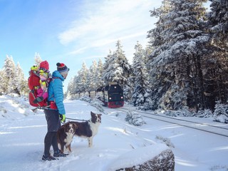 family with dog in the snow