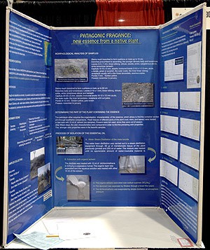 A science project displayed on banner attached to a tubular tri-fold frame