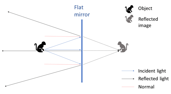Drawing of a flat mirror reflecting the image of a monkey