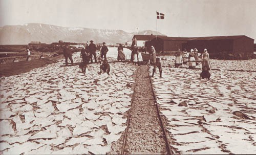 Black and white photo of a group of people standing in a field where the ground is covered with filets of fish