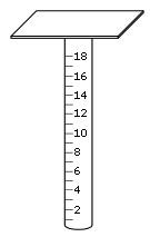 Drawing of a dowel marked off in 1-cm increments with a platform on top