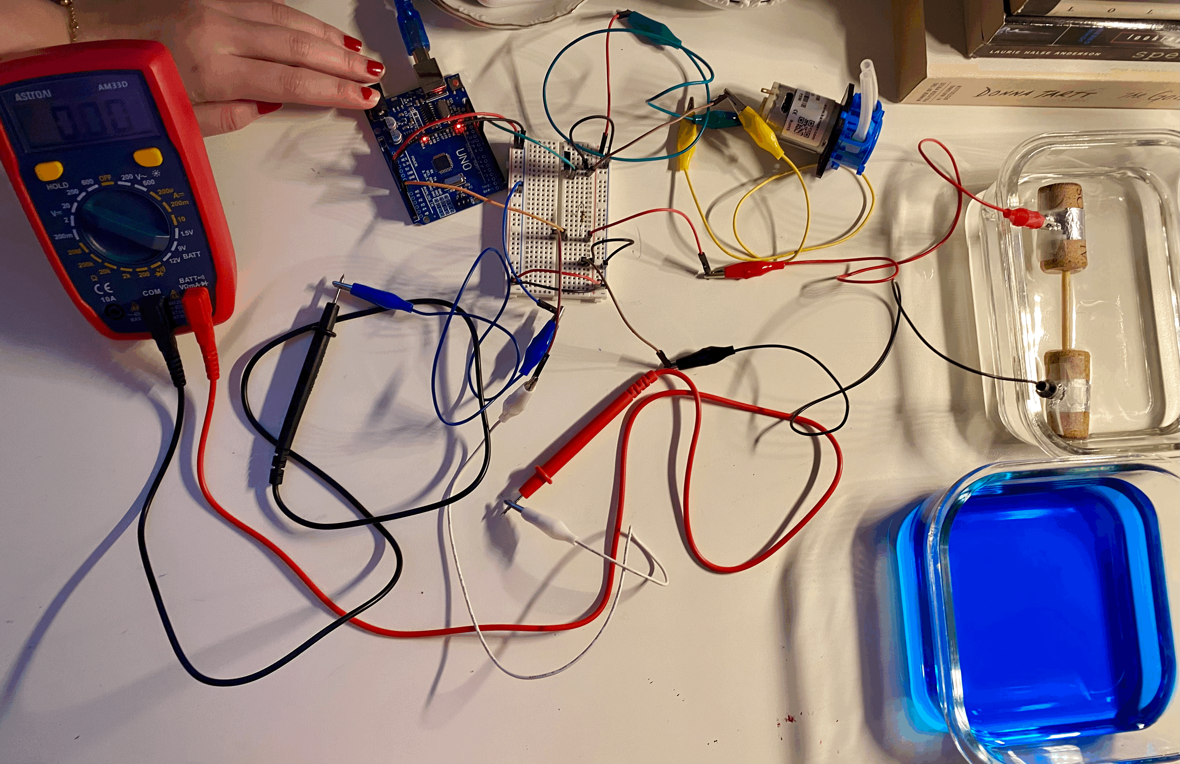 tempImage1XjmFm.gif