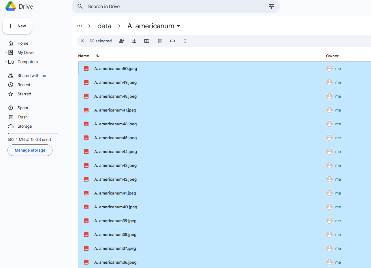Screenshot 2025-01-06 183835.png