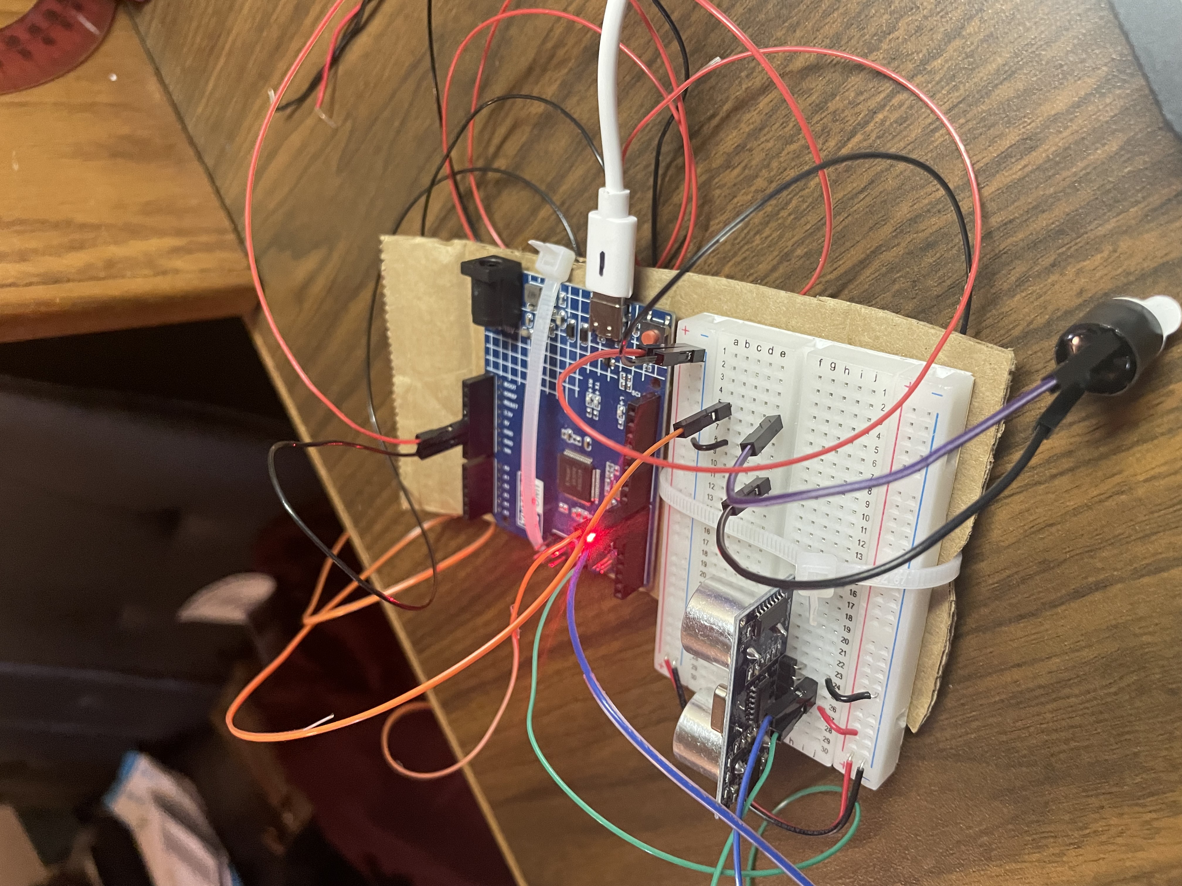 image1 (2).jpeg