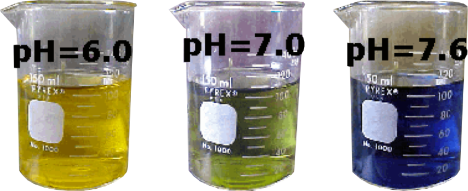 Three beakers are filled with liquids of different pH values and change color due to the pH indicator bromothymol blue