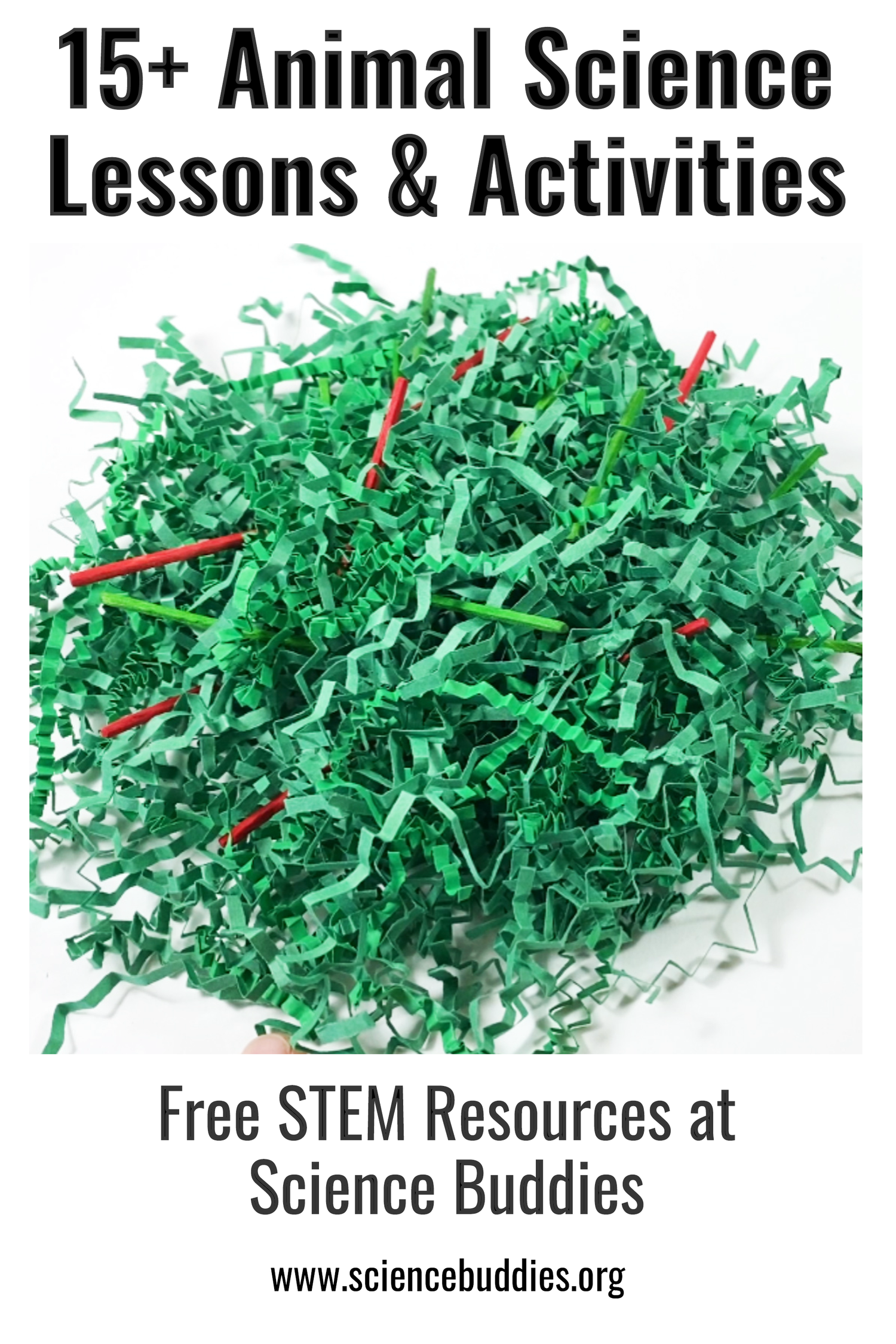 Colorful green paper shred with green and red toothpicks, part of camouflage activity on animal science