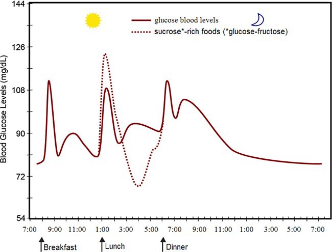 Graph of a persons glucose levels over a day