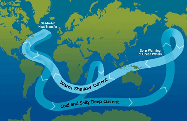 World map shows the movement of warm water from the Pacific to the Atlantic and cool water from the Atlantic to the Pacific
