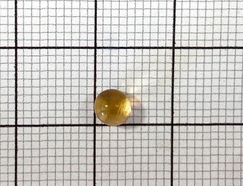 A small gelatinous ball is placed on a sheet of graph paper