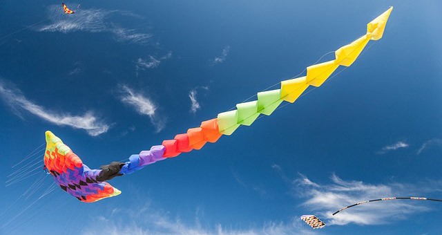 Buy CIM Single line kites - creative kite - do it yourself set