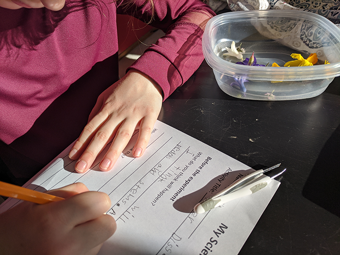 Student filling in simple activity log to document hands-on flower dissection science activity