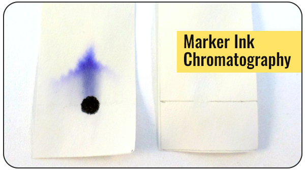 Chromatography strip with a marker ink separating