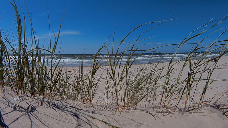 A picture of a sandy beach  
