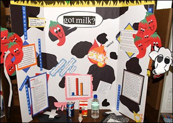 Display board for a science project involving milk and spicy foods
